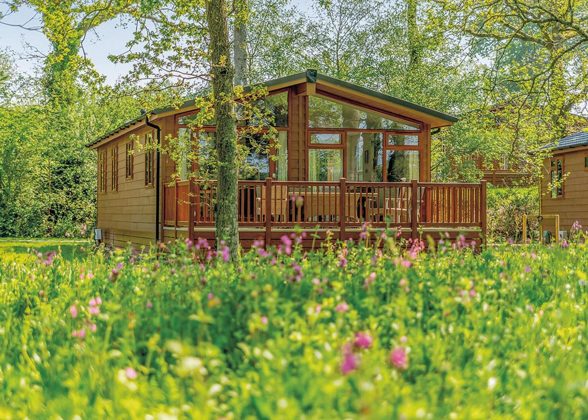 Wareham Forest Lodge Retreat Lytchett Minster Exterior foto